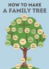 a family tree