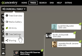 ancestry family tree