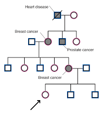 family history of