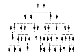 genealogy