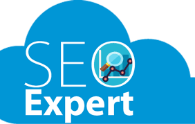 expert seo