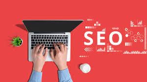 search engine optimization expert